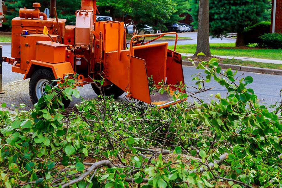 wood chipper and tree branches clayton ny